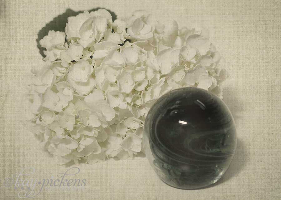 hydrangea-paperweight-1920 hydrangea-paperweight-1920