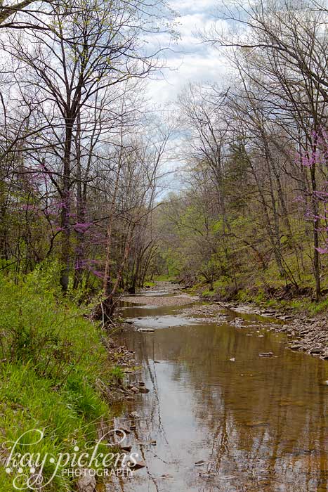 creek in columbia mo